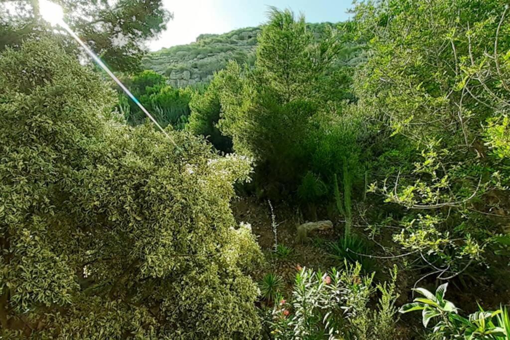 Descansar, Sonreir, Sentir. Paraiso Frente Al Mar Santa Pola Εξωτερικό φωτογραφία