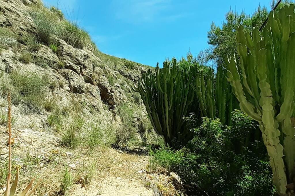 Descansar, Sonreir, Sentir. Paraiso Frente Al Mar Santa Pola Εξωτερικό φωτογραφία