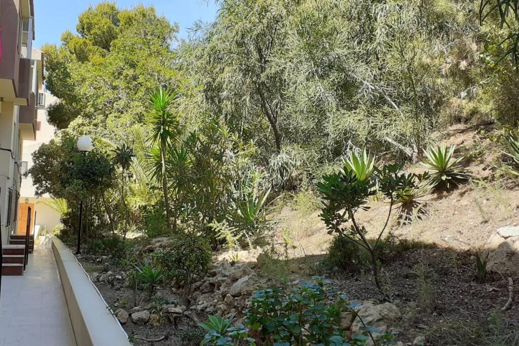 Descansar, Sonreir, Sentir. Paraiso Frente Al Mar Santa Pola Εξωτερικό φωτογραφία
